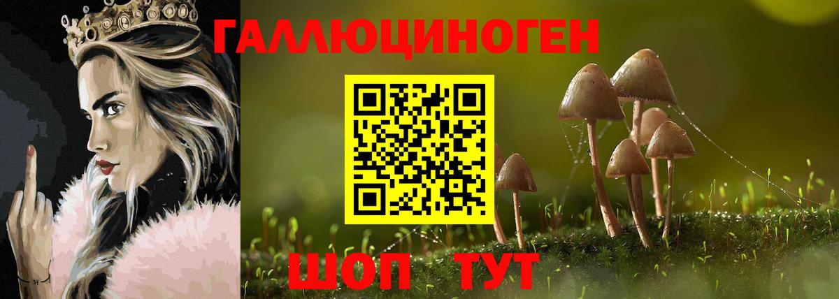 Псилоцибиновые грибы прущие грибы  Вход с VPN  Изобильный  Псилоцибиновые грибы мицелий 